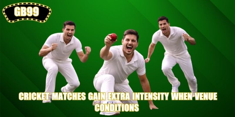 Cricket Matches gain extra intensity when venue conditions 