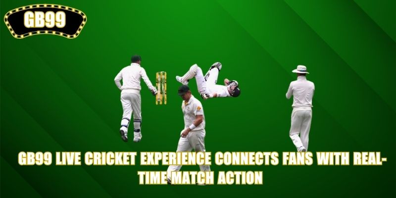 GB99 live cricket experience connects fans with real-time match action 