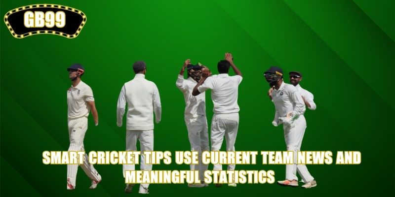 Smart Cricket Tips use current team news and meaningful statistics